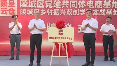 山东省首家党建共同体电商基地落地陵城