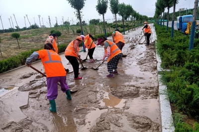 德州环卫：清理积水落叶 确保道路整洁