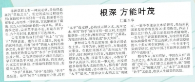 2022高考作家同题作文 | 根深 方能叶茂