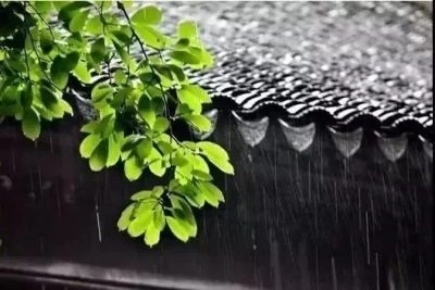 诗｜张洪崑：乡下夜雨