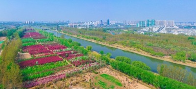 天蓝、水清、地绿，德州天衢新区——挥毫“泼绿” 描绘美好生态画卷