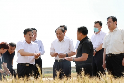 田卫东调研德州“三夏”生产工作时强调  确保夏粮丰收到手秋粮播足管好  卜祥联参加