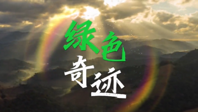 被一望无际的林海震撼！带你领略世界最大人工林美景