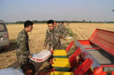 武城：兵民齐上阵 助农抢收忙