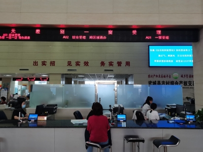 加速窗口整合 提速流程再造 | 武城：实现更多政务服务“一次办好”
