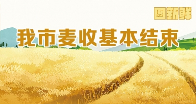 图新鲜｜截至6月20日16时 德州麦收基本结束