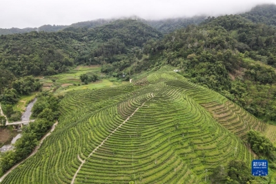 诗｜王爱静：忆父亲