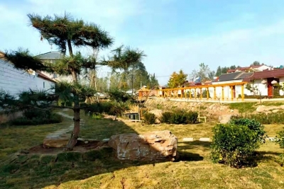 美文 | 张勇：追寻妈妈的足迹