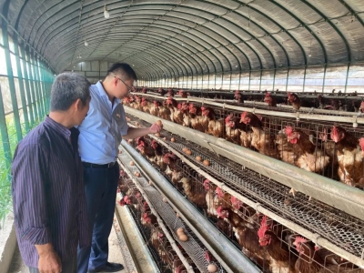 为5014个养殖户授信7.45亿元 | 陵城农商银行托起农户养殖致富梦