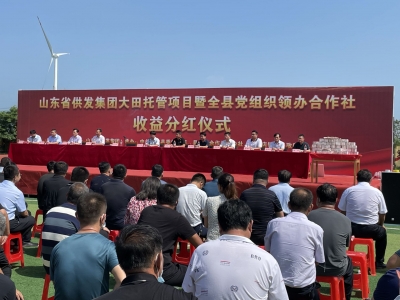 密织服务网络 增强服务能力 | 德州市供销社多措并举推进基层组织建设