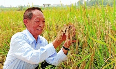 诗｜范恩露：夜读袁隆平