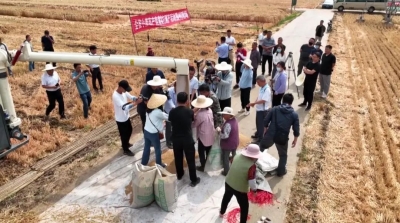 海右谈丨一亩地“管饱”四口之家，这场“翻身仗”打得漂亮