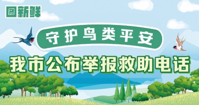 图新鲜｜守护鸟类平安：德州公布举报救助电话