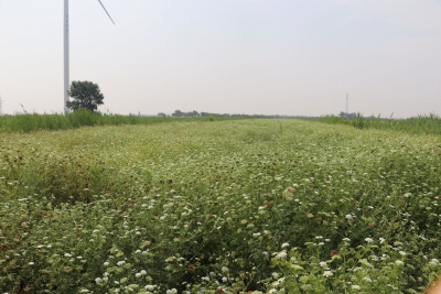 美文｜范兴文：丢失的身份证