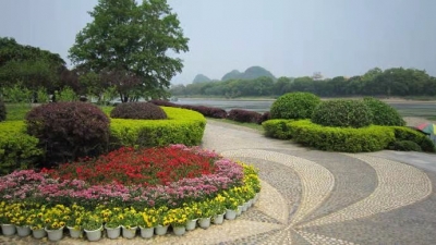 诗｜张爱卿：夏日