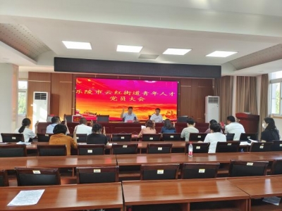乐陵云红街道：“一三三一”工作法破解农村党员发展难题