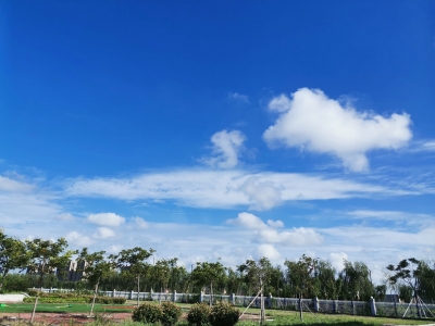 美文｜祖新兰：感知小暑