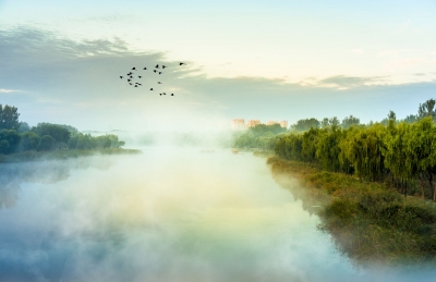 诗｜郭仲凤：七绝  · 暴风骤雨