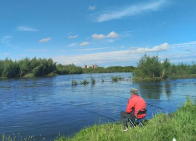 美文｜王淑芬：思念的智慧