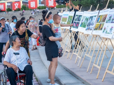 喜迎二十大 花开德城美 | 德城区首届牡丹摄影作品展开幕