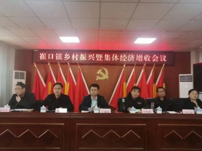 庆云县崔口镇：“四轮驱动” 跑出村级集体经济发展加速度