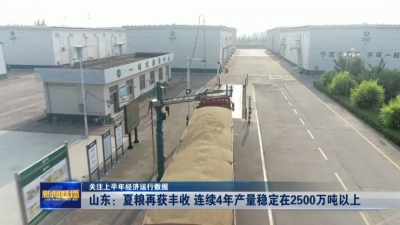 关注上半年经济运行丨山东：夏粮再获丰收 连续4年产量稳定在2500万吨以上