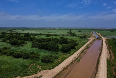 诗｜张学丰：七绝 · 盛夏随笔