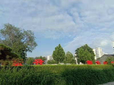 诗｜姜延珂：无题