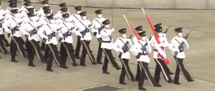 诗｜张学丰：七绝·香港纪律部队采用中式步操有感