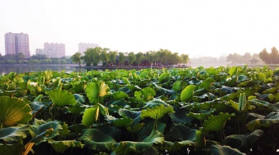 诗｜郭仲凤：七绝  · 夏日寻凉