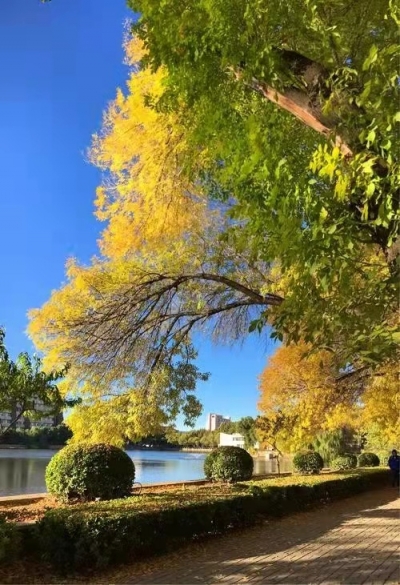 诗｜张清昌：秋色