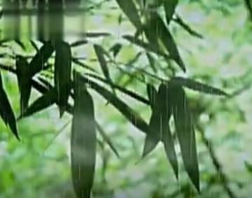 词｜张学丰：清平乐 • 抗战胜利日感吟