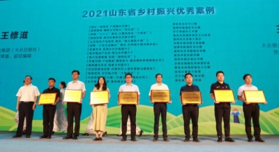 德州4案例入选！2021山东省乡村振兴优秀案例发布
