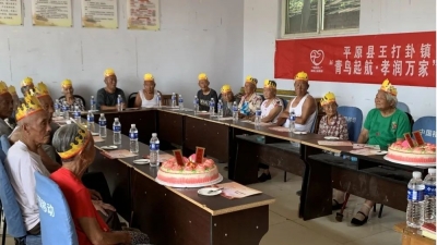 平原县王打卦镇各区域党建共同体开展助学爱老新风公益活动
