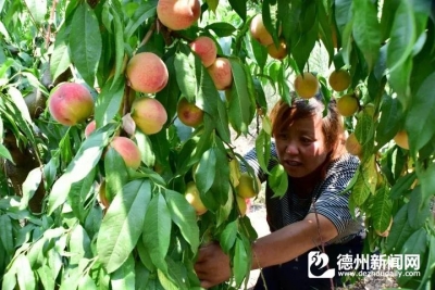 家风故事 | 张勇：一次刻骨铭心的教育