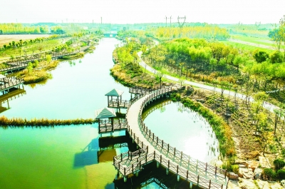 喜迎二十大｜德州市诗词协会作品辑（四）