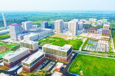 党报头条 | 齐河构筑重才留才“生态圈” 加强平台载体建设 持续做优服务保障