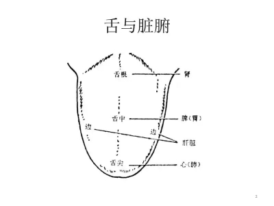 体内有疾舌先知！德州市中医院专家提醒：舌头出现这些症状要注意