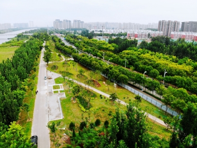 德州城管：细致打磨出精品  蓄力种植添美景