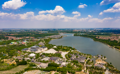 走在前开新局｜“三个十大”见行动㊺：“十大扩需求”看东营