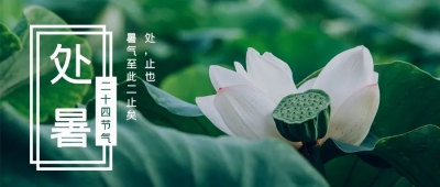 诗｜郭仲凤：七绝 · 秋（外一首）