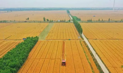 望岳谈｜德州，看“软件”升级的方法论