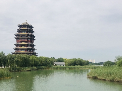 诗词｜于清东：七绝 · 咏秋晨（外一首）