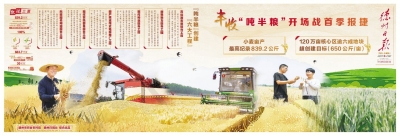 德州“吨半粮”创建八连版