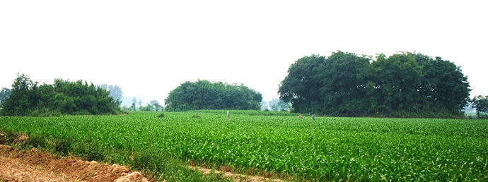 诗｜胡春华：陵城厌次八景诗  步清•康灼亨《厌次八景》诗韵