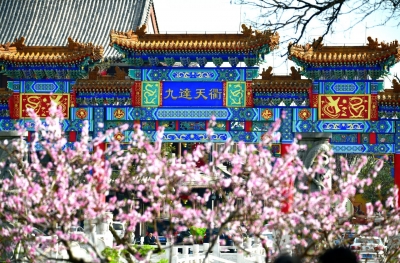 喜迎二十大｜德州市诗词协会作品辑（九）