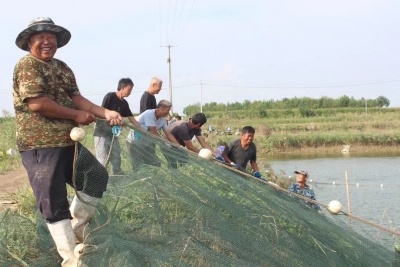 庆云中丁乡：变“废”为“宝”走上兴乡富农快车道