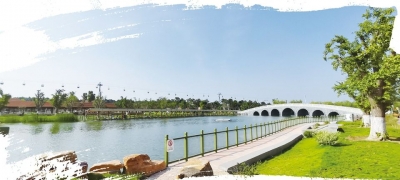 文旅|研学游、夜间游强劲复苏，齐河这个暑期，真“热”