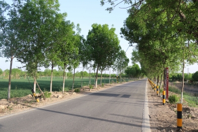 庆云常家镇：筑起“幸福巢” 修通致富路