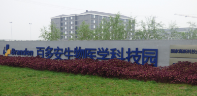 齐河在南部城区深化“高”“新”布局，加速产业聚集和转型升级，产城融合，枝繁巢暖百凤栖